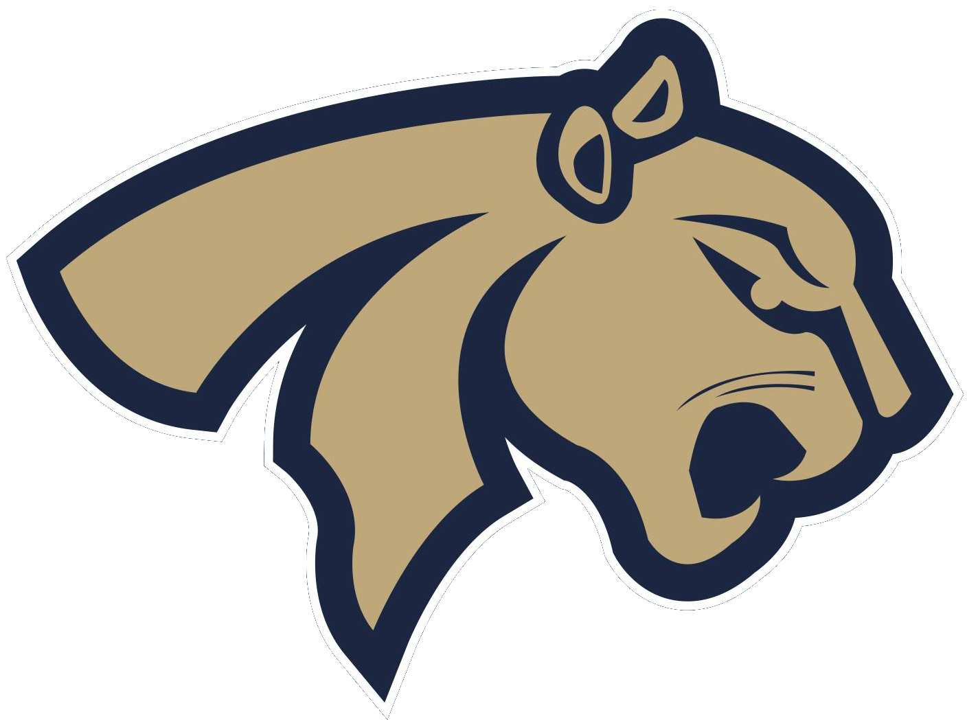 Pumas Acatlán